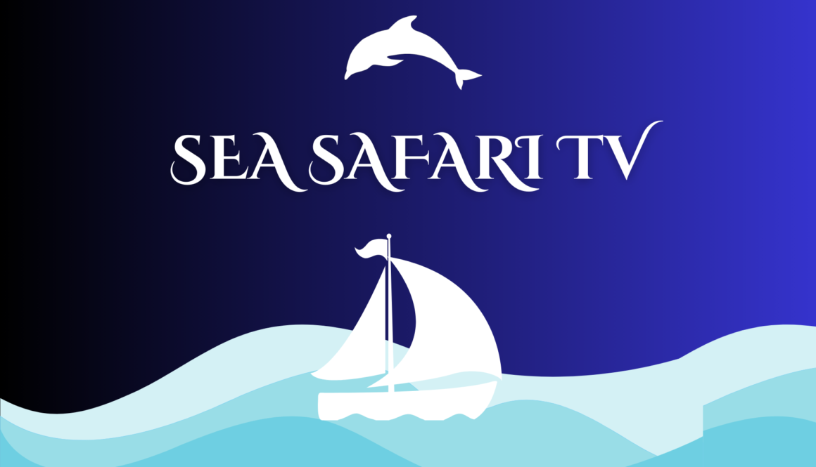 Introducing Sea Safari TV