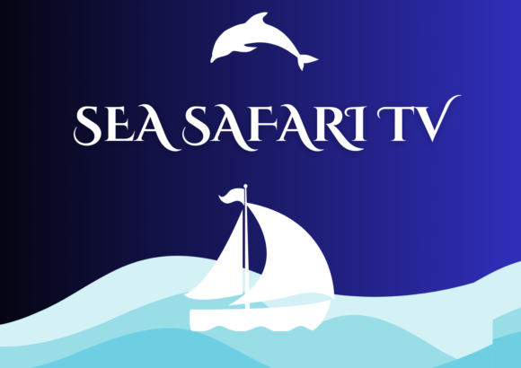 Dar-Aqua Sea Safari TV