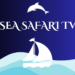 Introducing Sea Safari TV